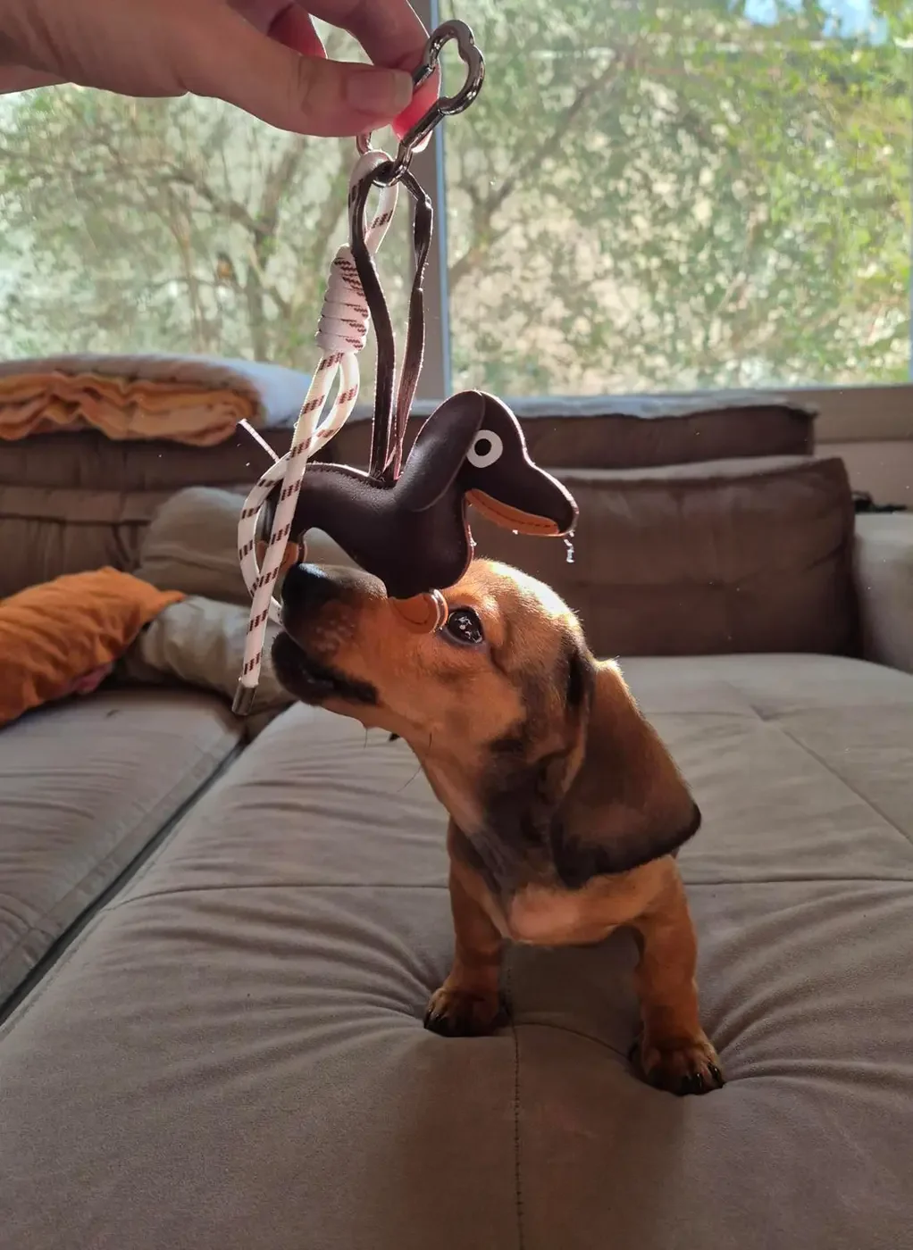 Chaveiros: O Detalhe que Muda Todo o Estilo